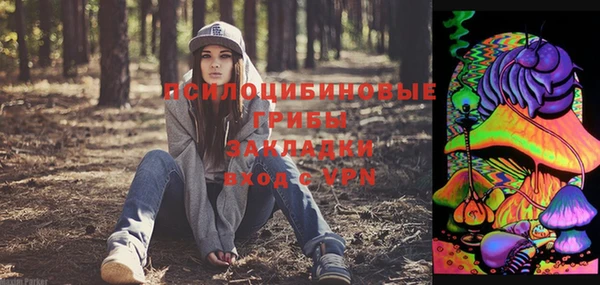 тгк Абдулино