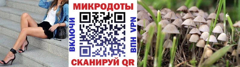 Галлюциногенные грибы MAGIC MUSHROOMS Томари