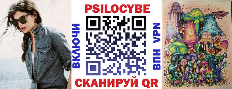 кракен   Томари  Галлюциногенные грибы Cubensis 